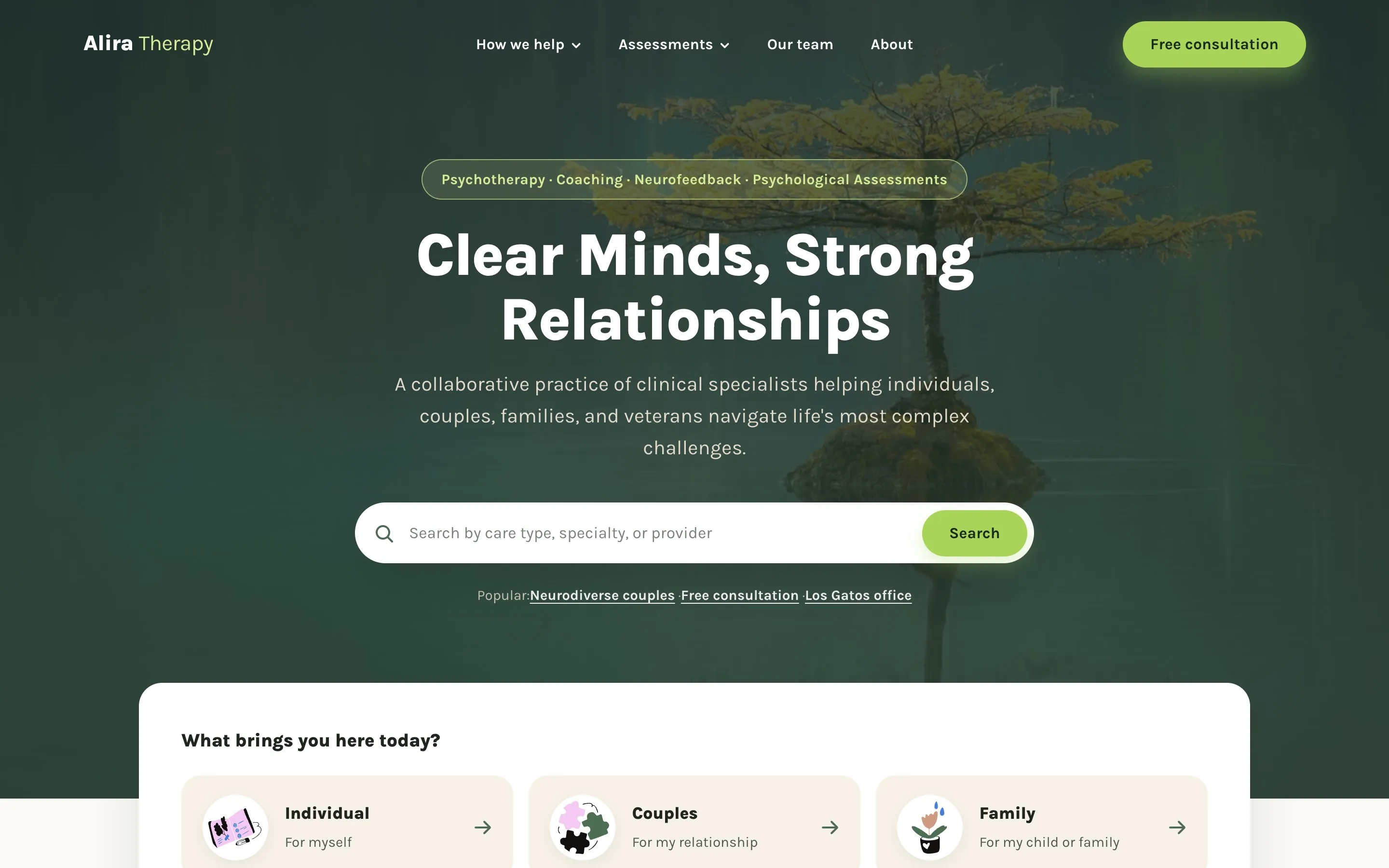 The Alira Family Therapy homepage